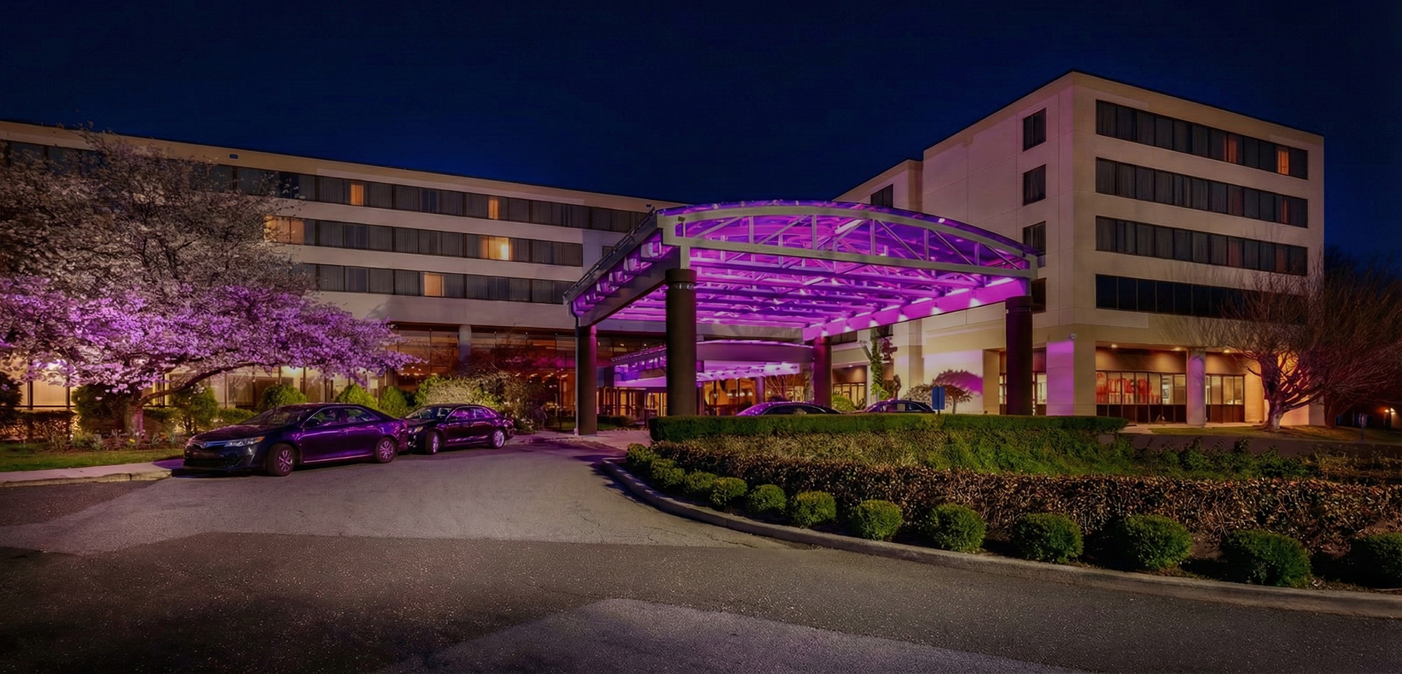 Luxury Pesach Experience